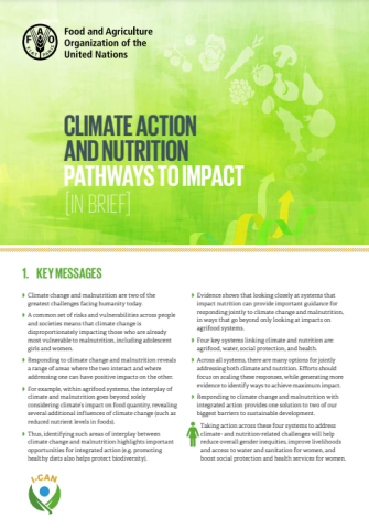 FAO-Climate Action & Nutrition-cover (2023)