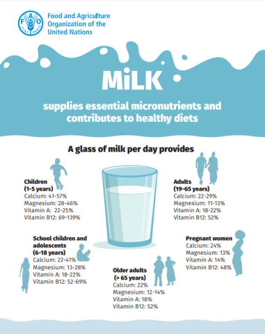 FAO-Milk infographic image (2023)