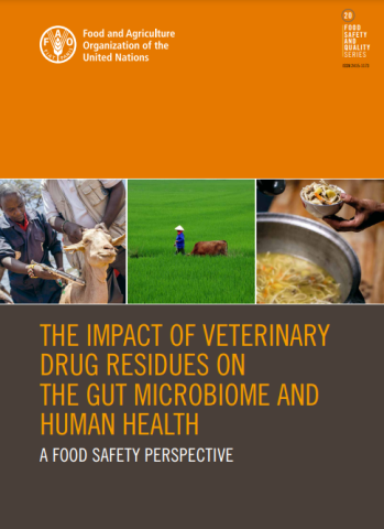 FAO-Vet Drugs & Gut Microbiome-cover (2023)