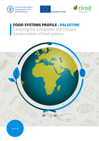 Palestine-FS Profile (2023)