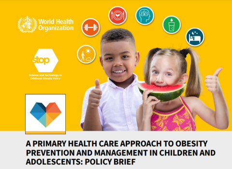 Primary Health Care Obesity Prevention/Mgt Children & Adolescents policy brief-cover
