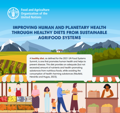 FAO-Improving human & planetary health-HDSFS-cover