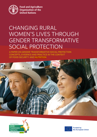 FAO-Rural Women-Gender-SP_cover (2023)