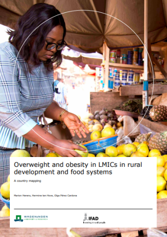 Addressing overweight-obesity in LMICs-Country mapping-cover (2023)