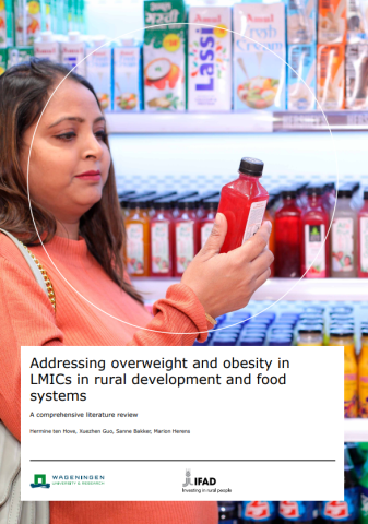 Addressing overweight-obesity in LMICs-Lit Review-cover (Jun2023)