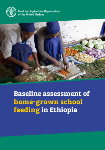 Baseline HGSF Ethiopia-cover (2023)