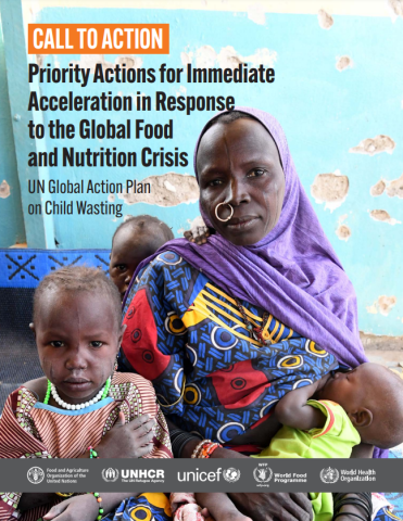 C2A-Priority Actions Global F&N Crisis-cover (2023)