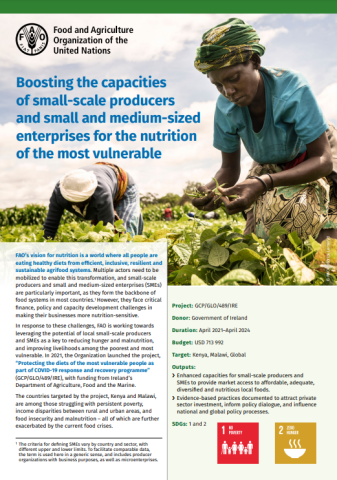 CD-Small-scale&SMEs 4 nutrition-cover (2023)