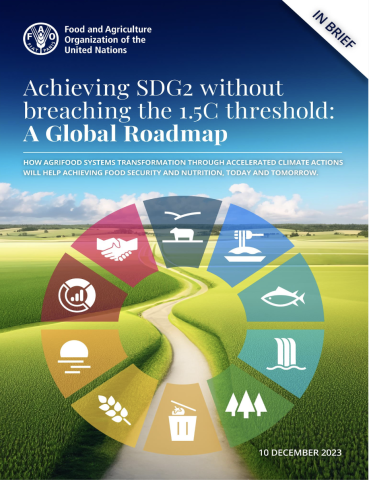 FAO Global Roadmap