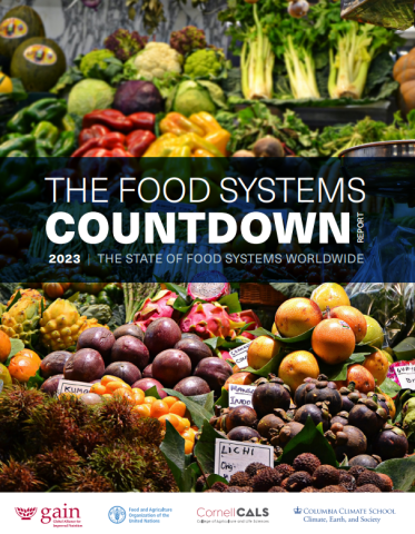 FAO-FS countdown report 2023-cover