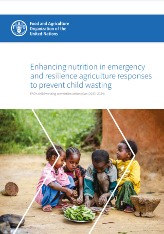 FAO-Child Wasting Prevention Plan-cover (2023-2024)