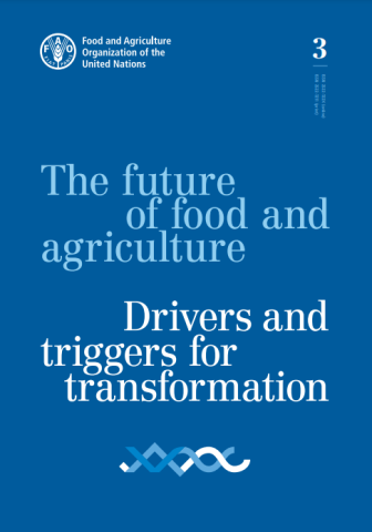 FAO-Future of Food & Ag-cover (2022)