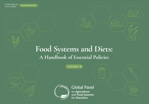 GloPan-Food Systems & Diets Handbook-cover (2023)