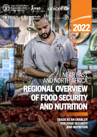 Near East & North Africa-SOFI-cover-2022