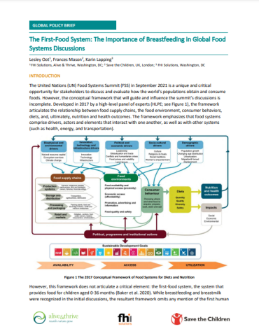 1st FS-Policy Brief-cover (2021)