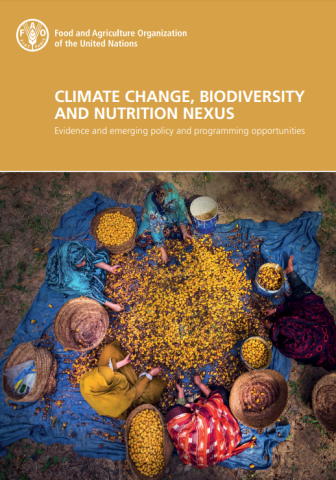 FAO-CC-Biodiversity-Nutrition-brief-cover (2021)