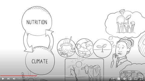 IFAD-Climate-Nutrition Nexus-video-image (2022)