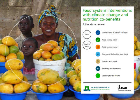 FS interventions-CC & Nutrition Co-Benefits-cover (2021)