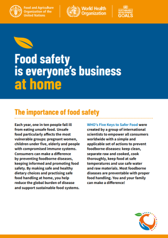 FAO & WHO-Food Safety at Home-cover (2022)