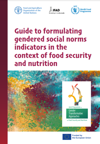 Guide-Gender norms indicators-FSN-cover (2022)