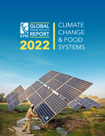 IFPRI-GFPR-cover (2022)