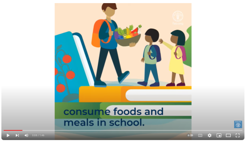 FAO-Nutr Stds-Schools-video image (2022)