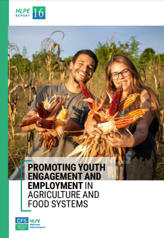 Youth in Ag & FS-HLPE 16 cover (2021)