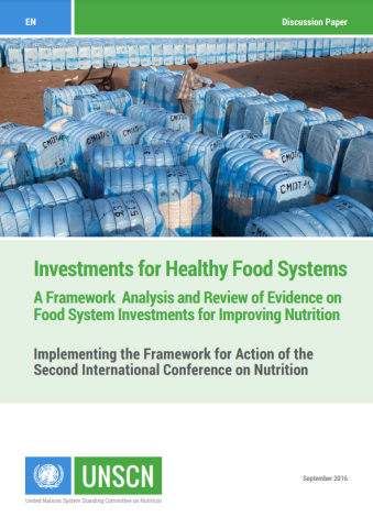 UNSCN-Investments-Healthy FSs-cover (2016)