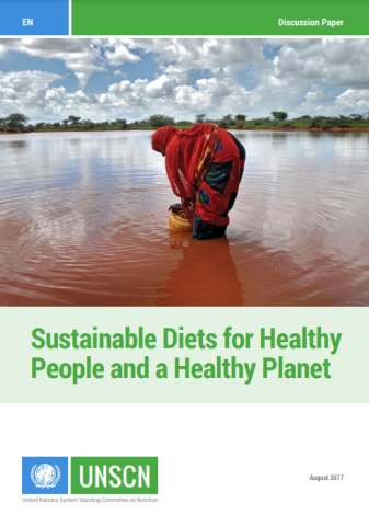 UNSCN-Sustainable diets-cover (2017)