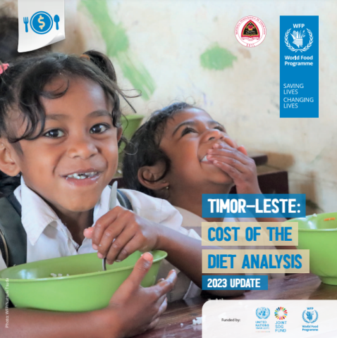 WFP-Timor-Leste FNG-2023-cover