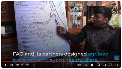 FAO video-FS-Healthy Diets-Forestry image (Mar2024)