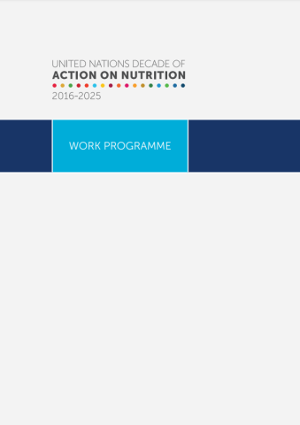 Nutrition Decade Work Programme-cover