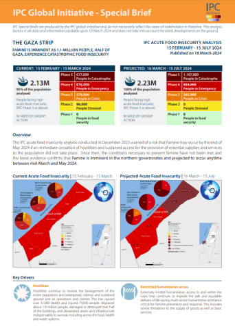 IPC Gaza Report-cover (18Mar2024)