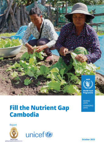 WFP-FNG Cambodia-cover (Oct2023)