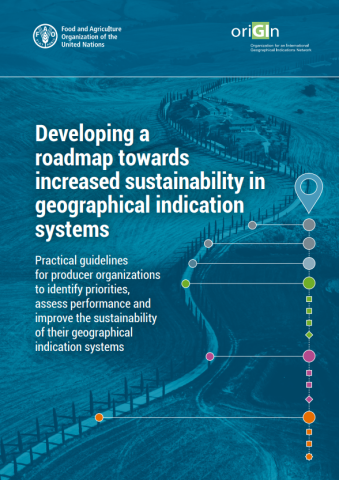 FAO-Roadmap-Sustainability GIS-cover (Apr2024)