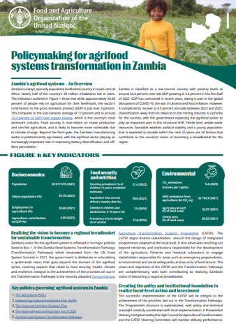 FAO-Policymaking-FS Zambia cover (May2024)