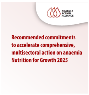 N4G 2025-Anaemia Commitments guide-cover (Feb2025)