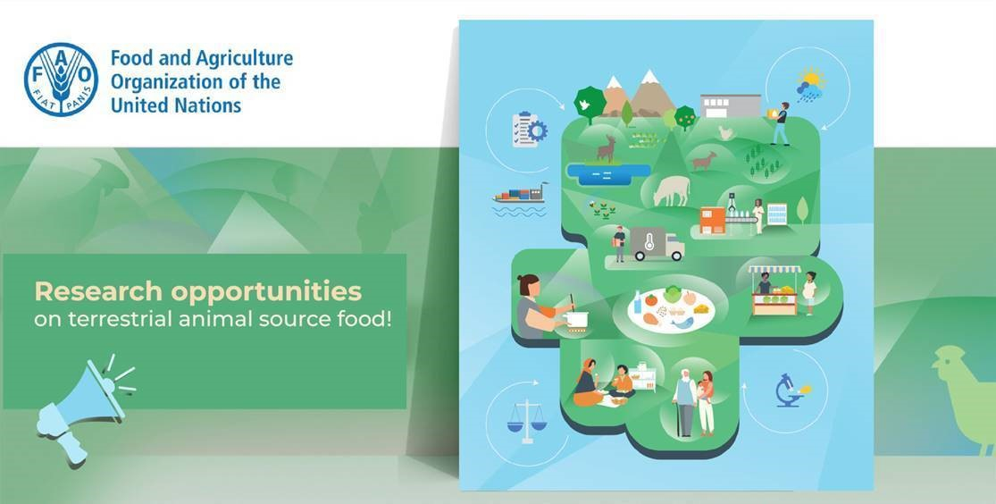 Terrestrial Animal Source Foods - ANH side event