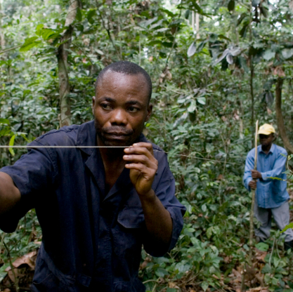 FAO-Sustainable forest mgt podcast-image (Apr2025)