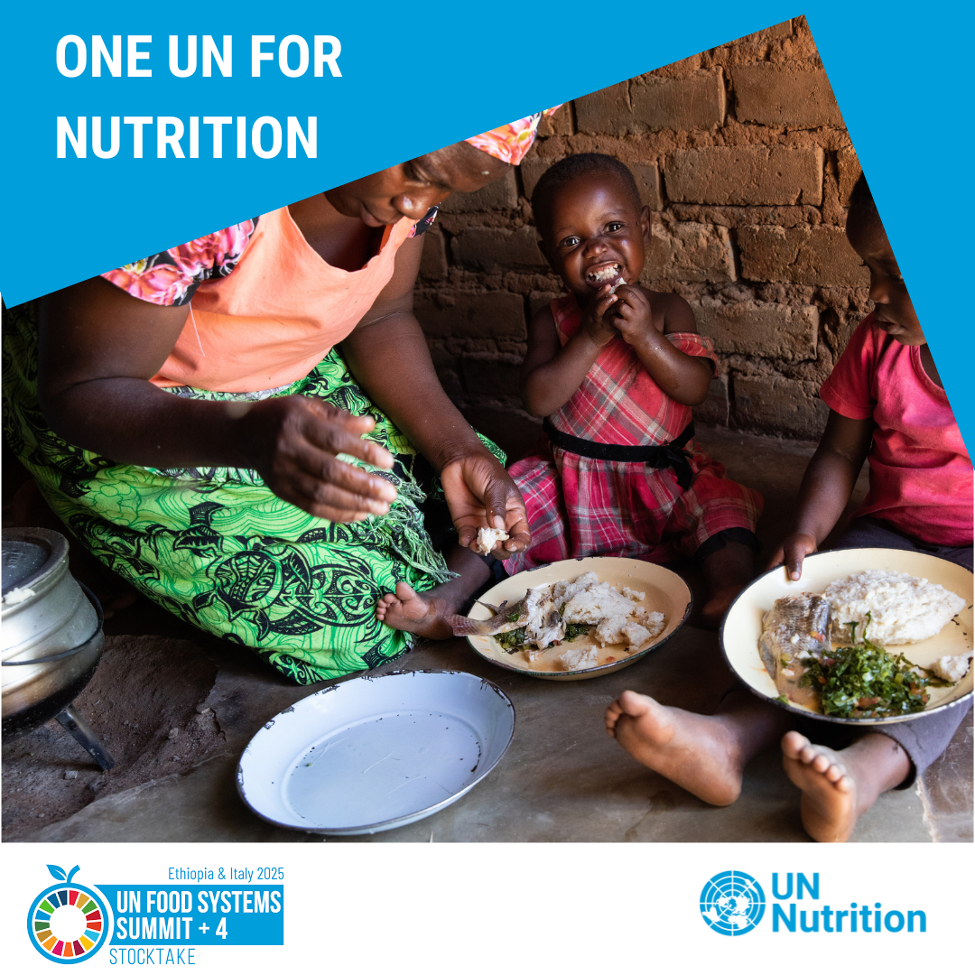 UNFSS+4 One UN for Nutrition
