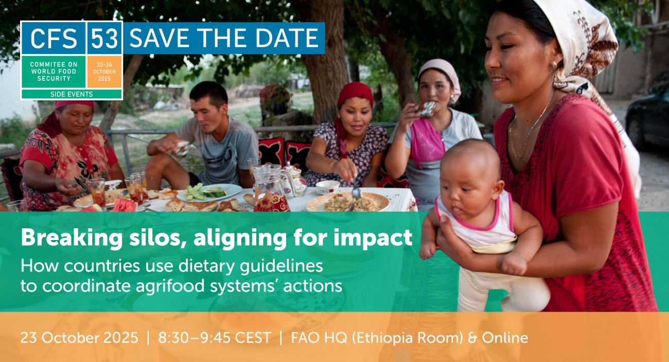 CFS53 side-event - Breaking silos, aligning for impact