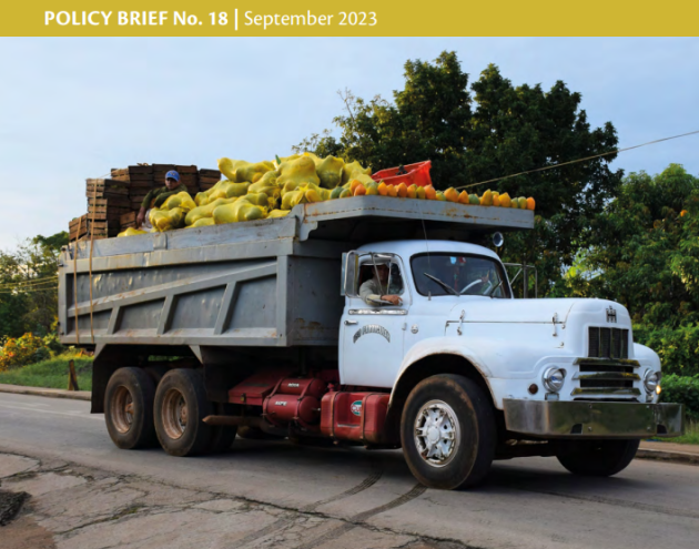 GloPan policy brief no. 18 - cover