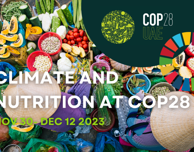 COP28 UNNutrition
