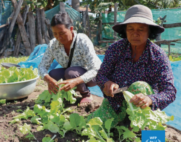 WFP-FNG Cambodia-cover (Oct2023)