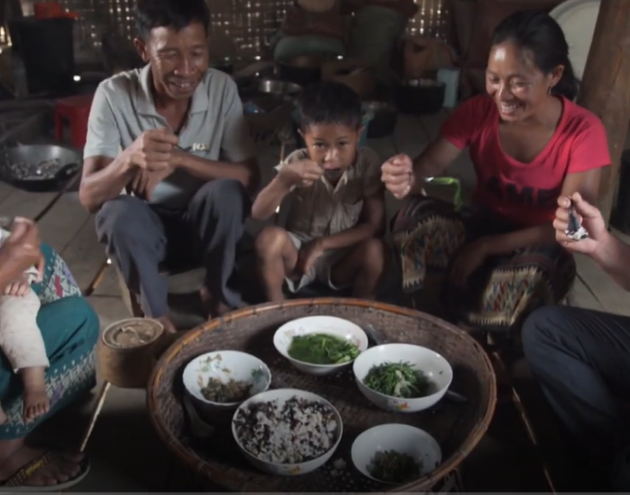 IFAD nourishing video image (May2025).