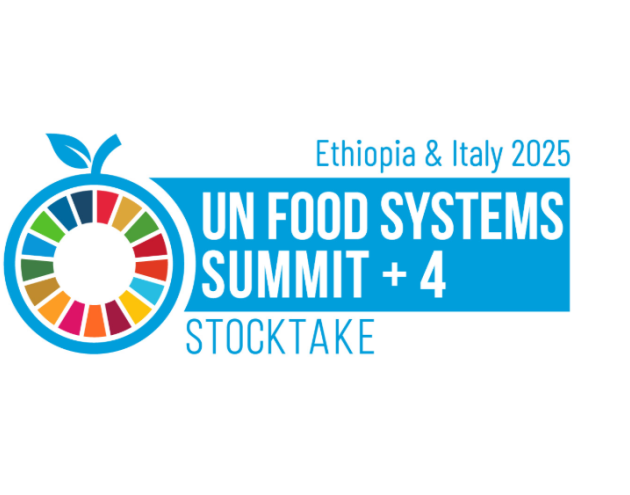 Banner for the UN Food Systems Summit +4