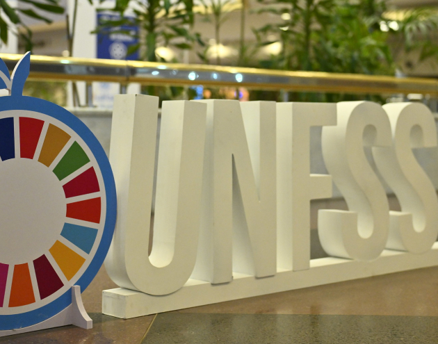 Banner for the UN Food Systems Summit +4