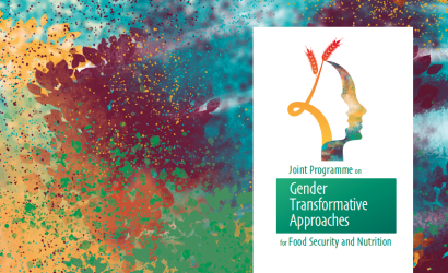 Gender transformative approaches