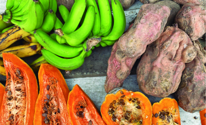 2021-Issue 2-WFP_Lorena Peña