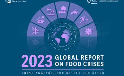 Promotional image of 2023 Global Report on Food Crises